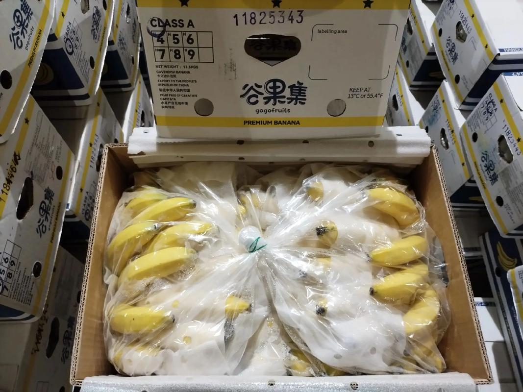 香蕉冷库